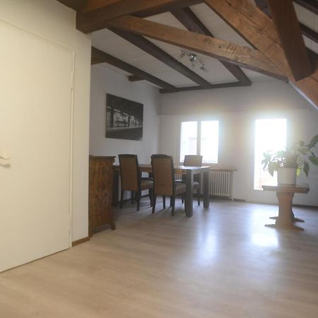 Appartements Am Bodensee Naehe Konstanz Ermatingen 외부 사진